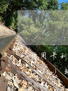 信用卡利息變低 為什么信用卡利息越來(lái)越高