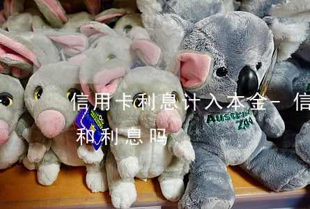 信用卡利息计入本金-信用卡利息计入本金和利息吗