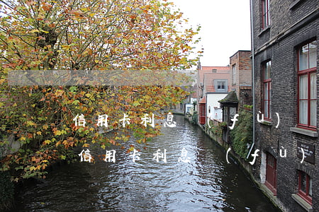 信用卡利息負(fù)數(shù)怎么算（信用卡利息負(fù)數(shù)）