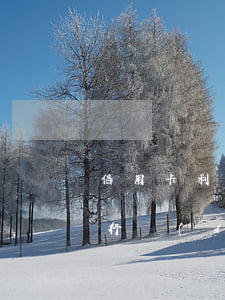 信用卡利息貸調(diào)(發(fā)卡行調(diào)整信用卡利率不需要通知持卡人)