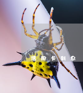 信用卡利息賴得掉嗎