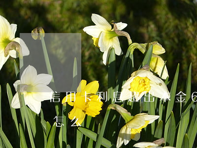 信用卡利息超出本金6(信用卡利息超出本金怎么辦)
