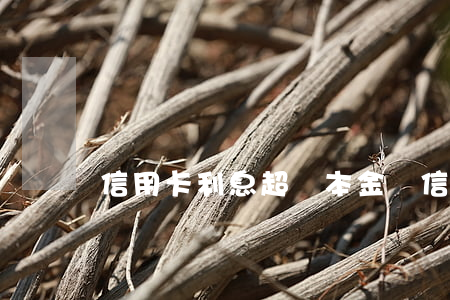信用卡利息超過本金嗎 信用卡 欠款利息