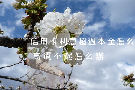 信用卡利息超過本金怎么處理(信用卡利息太高還不起怎么辦)