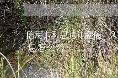 信用卡利息跨年翻倍嗎 2021年信用卡利息怎么算