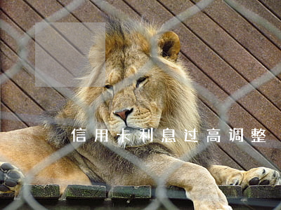 信用卡利息过高调整