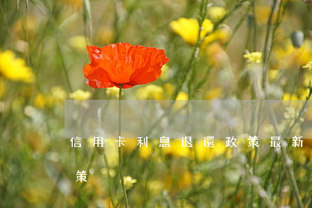 信用卡利息退還政策最新（信用卡利息退還政策）
