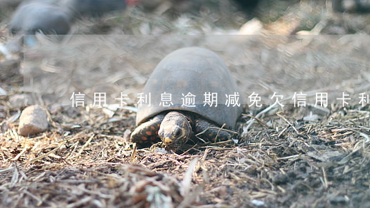 信用卡利息逾期减免(欠信用卡利息减免申请)