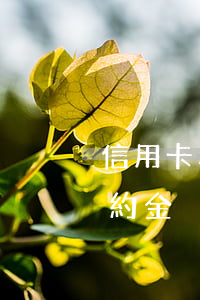 信用卡利息違約金減免申請書（信用卡利息違約金減免）