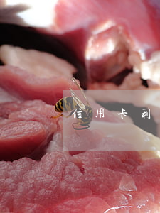 信用卡利息還不起了(信用卡利息還不起了)