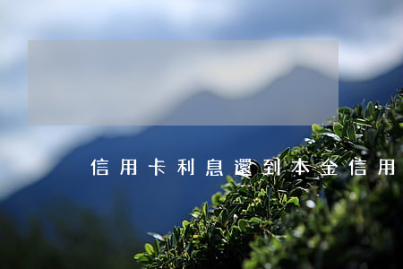 信用卡利息還到本金(信用卡 還款利息)