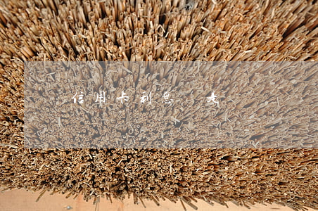 信用卡利息還是