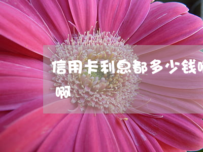 信用卡利息都多少钱啊(信用卡利息都多少钱啊)
