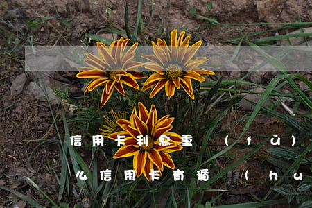 信用卡利息重復(fù)計(jì)息(為什么信用卡有循環(huán)利息)