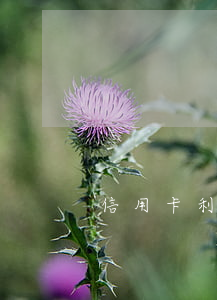 信用卡利息高么(信用卡利息高么!)