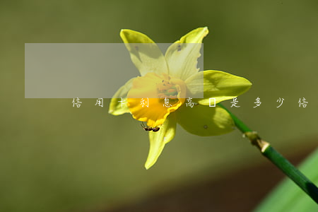 信用卡利息高嗎是多少(信用用卡利息)