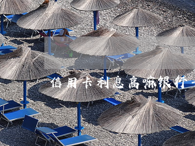 信用卡利息高嘛(银行卡信用卡利息)