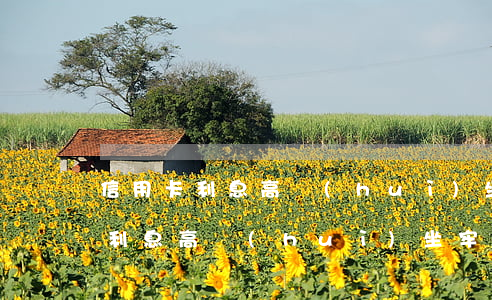 信用卡利息高會(huì)坐牢嗎-信用卡利息高會(huì)坐牢嗎