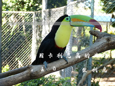 信用卡利息高的方法 怎么玩信用卡不會產(chǎn)生利息