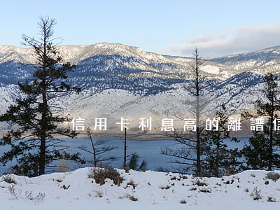 信用卡利息高的離譜 信用卡利息高的離譜