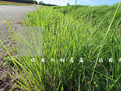 信用卡利息高過(信用卡利息高過高利貨怎么辦)