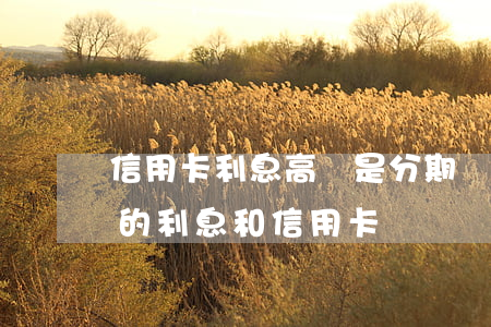 信用卡利息高還是分期樂利息高呢-分期樂的利息和信用卡
