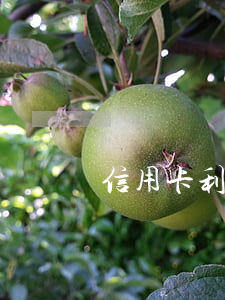 信用卡利息高靠譜嗎(銀行信用卡 利率)