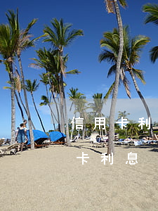 信用卡利率和利息有什么區(qū)別(信用卡,利息)