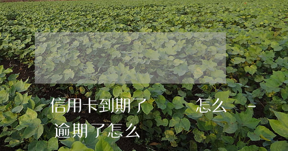 信用卡到期了沒錢還怎么辦-沒錢還信用卡逾期了怎么辦