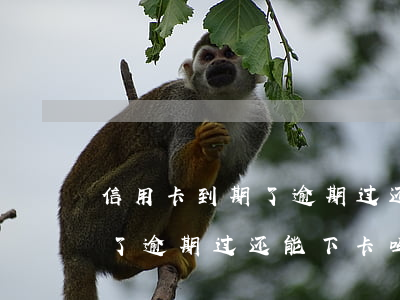 信用卡到期了逾期过还能下卡吗(信用卡到期了逾期过还能下卡吗怎么办)