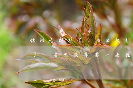 信用卡到期了還有欠款怎么辦-信用卡到期了還有欠款需要一次性還清嗎