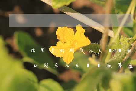 信用卡到期后三天內還款算逾期嗎-信用卡到期后三天內還款算逾期嗎怎么辦