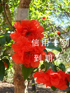 信用卡到期后先還一部分算逾期嗎-信用卡到期后先還一部分算逾期嗎怎么辦