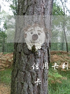 信用卡到期被拒绝续卡 信用卡到期被拒绝续卡