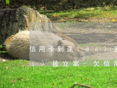 信用卡到達(dá)多少金額逾期會(huì)被立案-欠信用卡逾期多少會(huì)被起訴