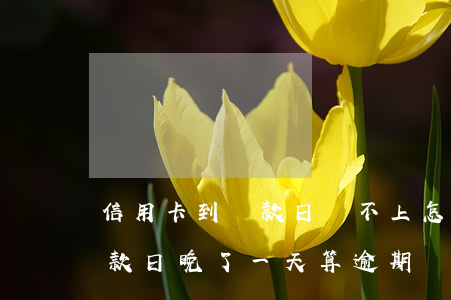 信用卡到還款日還不上怎么辦-信用卡到還款日晚了一天算逾期嗎