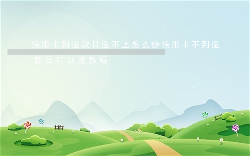 信用卡到還款日還不上怎么辦(信用卡不到還款日可以還款嗎)