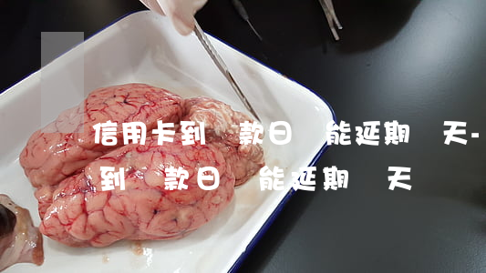 信用卡到還款日還能延期幾天-平安信用卡到還款日還能延期幾天
