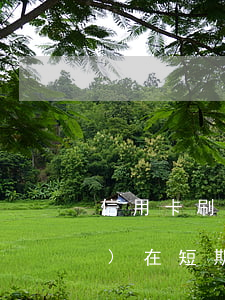 信用卡刷了14萬(wàn)現(xiàn)在短期無(wú)力償還-信用卡刷了14萬(wàn)現(xiàn)在短期無(wú)力償還怎么辦