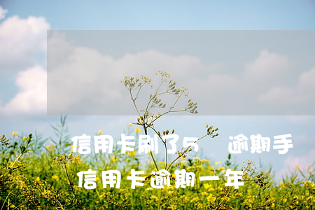 信用卡刷了5萬逾期手續(xù)費(五千的信用卡逾期一年)