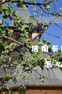 信用卡刷了一萬不還怎么辦(刷信用卡一萬塊錢怎么還)
