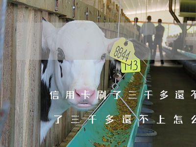 信用卡刷了三千多還不上怎么辦-信用卡刷了三千多還不上怎么辦呢