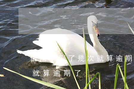 信用卡刷了幾次就算逾期了(信用卡刷了幾次就算逾期了)
