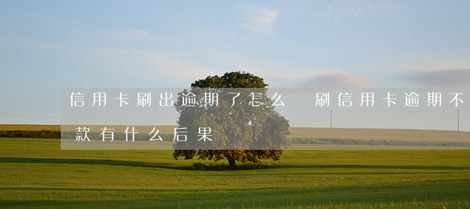 信用卡刷出逾期了怎么辦(刷信用卡逾期不還款有什么后果?)