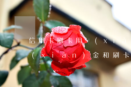 信用卡刷卡用現(xiàn)金還是透支(現(xiàn)金和刷卡有什么區(qū)別)