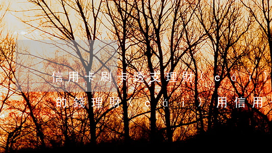 信用卡刷卡透支理財(cái)劃算嗎(自己的錢理財(cái)用信用卡消費(fèi))