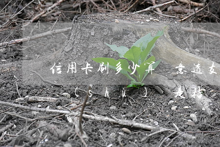 信用卡刷多少算惡意透支(信用卡惡意透支的數(shù)額是指)