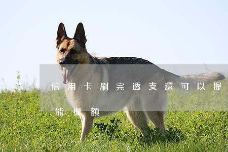 信用卡刷完透支還可以提額(為什么信用卡不能提額)