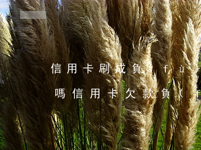 信用卡刷成負(fù)數(shù)算逾期嗎(信用卡欠款負(fù)數(shù))