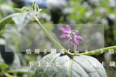 信用卡刷滿(mǎn)額一時(shí)還不上怎么辦-信用卡刷滿(mǎn)額一時(shí)還不上怎么辦呢